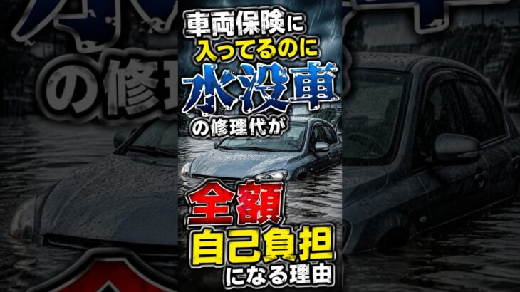 車両保険に入ってるのに水没車の修理代が全額自己負担になる理由