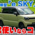 【驚異の電費】スズキ初の軽EV「e SKY」試乗！航続310kmの実力を徹底検証|乗りものチャンネル