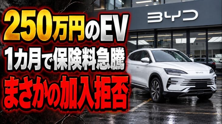 【買ったばかりなのに…】250万円のEV、納車1カ月で保険料急騰→まさかの加入拒否！購入後に待っていた落とし穴
