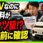 BYDラッコに衝撃の落とし穴！220万円の軽EVで保険料はベンツ級、修理費200万円級の現実