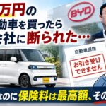 【海外の反応】「EVは保険に入れません」250万円の電気自動車を買ったら保険会社に断られた…中国1300億円の赤字、イギリスでは見積もり拒否続出、日本でも料率クラス最高値到達の衝撃