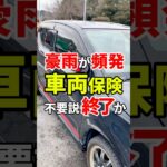 【豪雨が頻発…】車両保険いらないは危ない!?