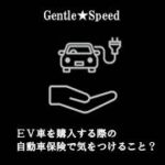 EV車を購入する際、自動車保険に注意だそうな。（動画の解説部分はGemini Notebookで制作しています。）