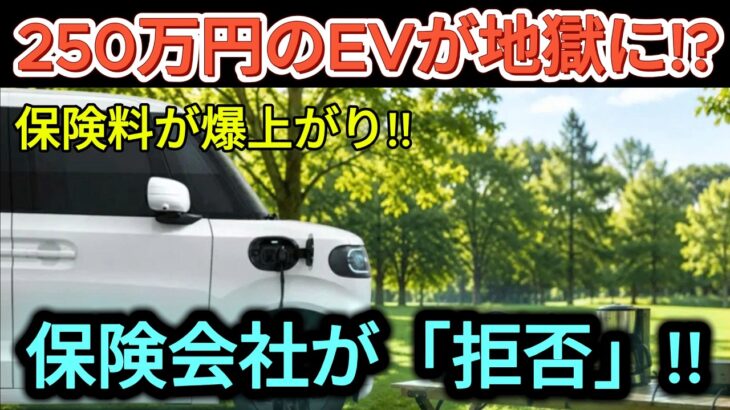 250万円のEVを買った翌月、まさかの地獄…保険料が爆上がり＆加入拒否の衝撃