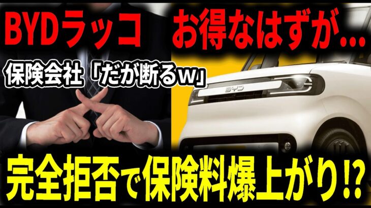 250万円の安い軽EVを買ったはずが保険料が爆上がりでまさかの展開に…ラッコは本当にお得なのか？【ずんだもん】