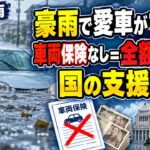 【冠水車はどうなる？】修理できる？車両保険はいくら？国からお金は出るのか【千葉豪雨】  ドラレコ   #ゆっくり解説  #ニュース
