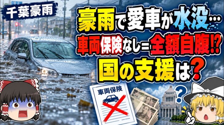 【冠水車はどうなる？】修理できる？車両保険はいくら？国からお金は出るのか【千葉豪雨】  ドラレコ   #ゆっくり解説  #ニュース