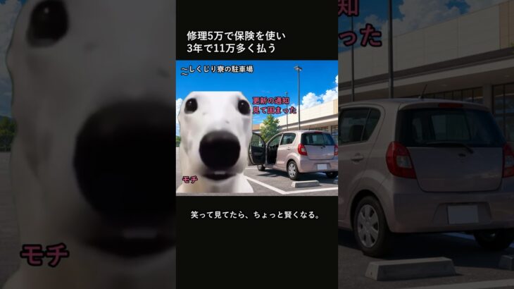 修理5万で自動車保険を使って11万損した話 #shorts #猫ミーム #知識 #雑学