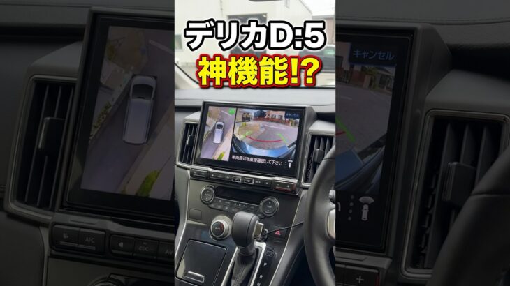 【神機能】デリカD:5 マルチアラウンドモニター フロントビュー サイドビューモニターの見え方 #デリカd5 #モニター #ビューモニター