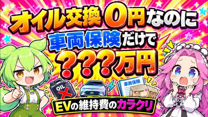 『オイル交換0円』のEVが 車両保険だけで『???万円』かかる理由