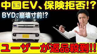 安いはずの電気自動車が突如として突きつける驚愕の維持費の罠 #EV #電気自動車 #自動車保険 #中国車 #BYD #自動車購入 #メンテナンス #次世代車 #クルマ選び #モビリティ
