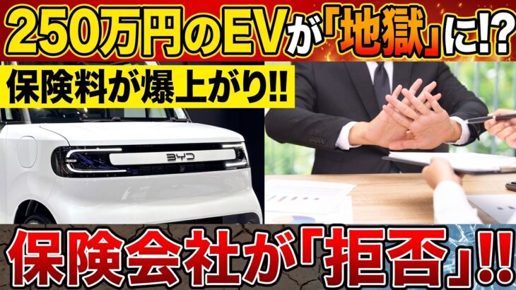 【知らずに買うと地獄】250万円EV、翌月に保険料が急騰…まさかの「加入拒否」で所有者絶望