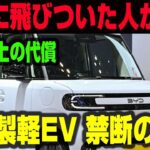 BYDラッコ、220万円の軽EVに潜む落とし穴 保険料はベンツ級、修理費200万円という現実