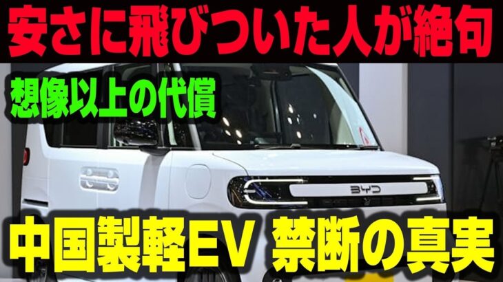 BYDラッコ、220万円の軽EVに潜む落とし穴 保険料はベンツ級、修理費200万円という現実