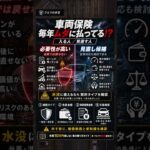 【払いすぎ注意】その車両保険、本当に必要？