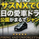 レクサスNXでGO！土曜日の愛車ドライブ｜名護城公園がまるでジャングル⁉️