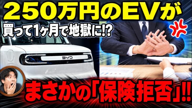 250万円のEV購入後に地獄…保険会社がまさかの「加入拒否」！修理費高騰でBYDすら大赤字の罠