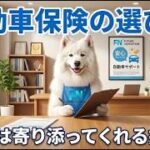 自動車保険の選び方その3[結局は寄り添ってくれる担当！]