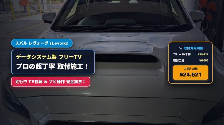 【レヴォーグ フリーTV取付 DIY】レボーグ！フリーTV（データシステム）取付DIY