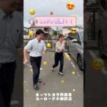 【スタッフに聞いた】おすすめ車種紹介⭐⭐