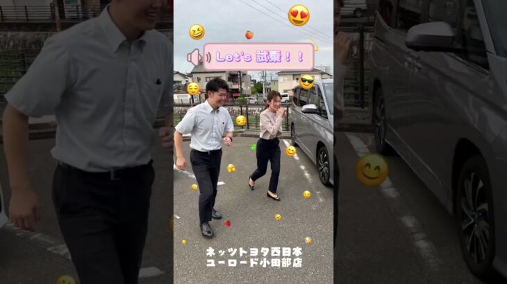 【スタッフに聞いた】おすすめ車種紹介⭐⭐