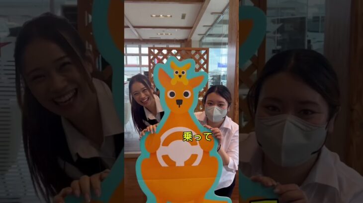 のってカンガルー キャンペーン実施中✨試乗した方にプレゼント！のってカンガルーチャーム全5種もご準備してご来店お待ちしております☺️#いこうよ日産￼ #のってカンガルー #お店よってカンガルー