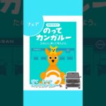ためしにのってかんがえてみルー？🦘　#日産プリンス大分 #nissan #試乗車 #shorts