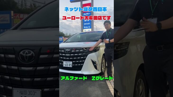 試乗車アルファード紹介✨