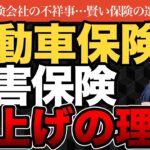 自動車保険「平均5%超」値上げの裏側…これってビッグモーター問題のツケなの？これからの損害保険の付き合い方【きになるマネーセンス1226】