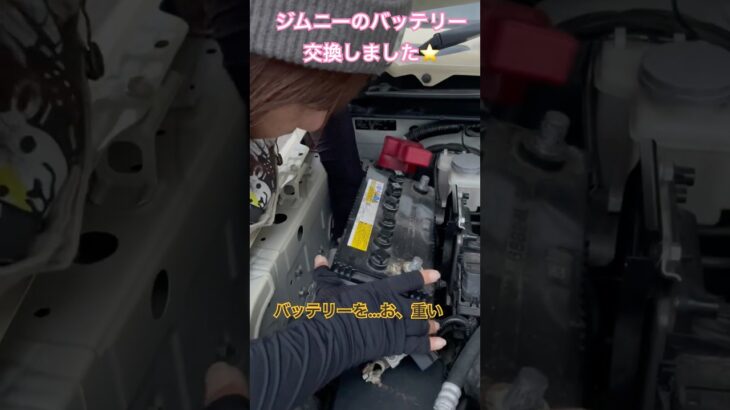トミー⭐️ジムニー活動🐥バッテリー交換🚙