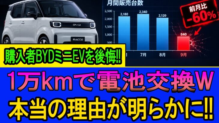 【悲報】1万kmで電池交換w BYDミニEVの購入者が後悔するハメになった衝撃の理由