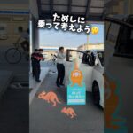 2026年10月2日