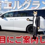 【日産 エルグランド】２列目では誰でも偉くなれるのか