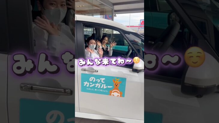 のってカンガルー試乗多数ご用意🦘新型エルグランドから最新の軽自動車まで幅広く準備しているのでお気軽にお越しください🙇‍♀️☺️ #いこうよ日産 #のってカンガルー #お店によってカンガルー