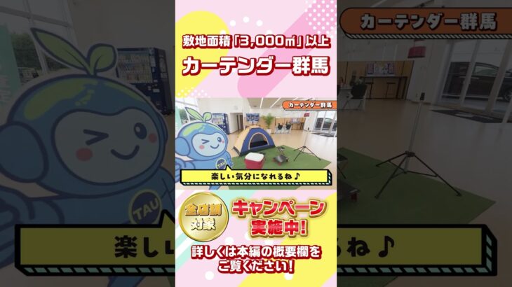 中古車・車検・整備まで！カーテンダー群馬ってどんなお店？