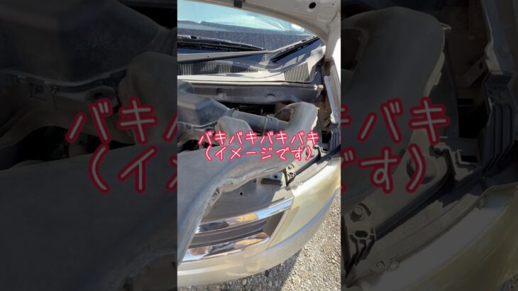 【バッテリー急死】セレナエンジン不動【突然】 #セレナ #c25 #日産 #バッテリー交換 #バッテリー上がり #整備 #修理 #バッテリー #もう泣かないで #瀬能あづさ #coco