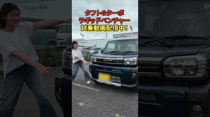 【タフトラギッドベンチャー試乗】レディバグチャンネルで配信中！ #軽自動車 #タフト #SUV #daihatsu
