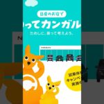 のってカンガルー TVCM