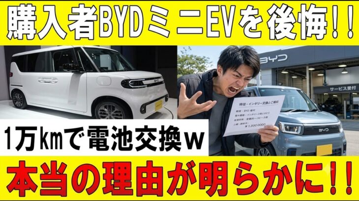 【衝撃】「買わなきゃよかった…BYDミニEVが1万kmで電池交換!! 本当の原因に騒然!!